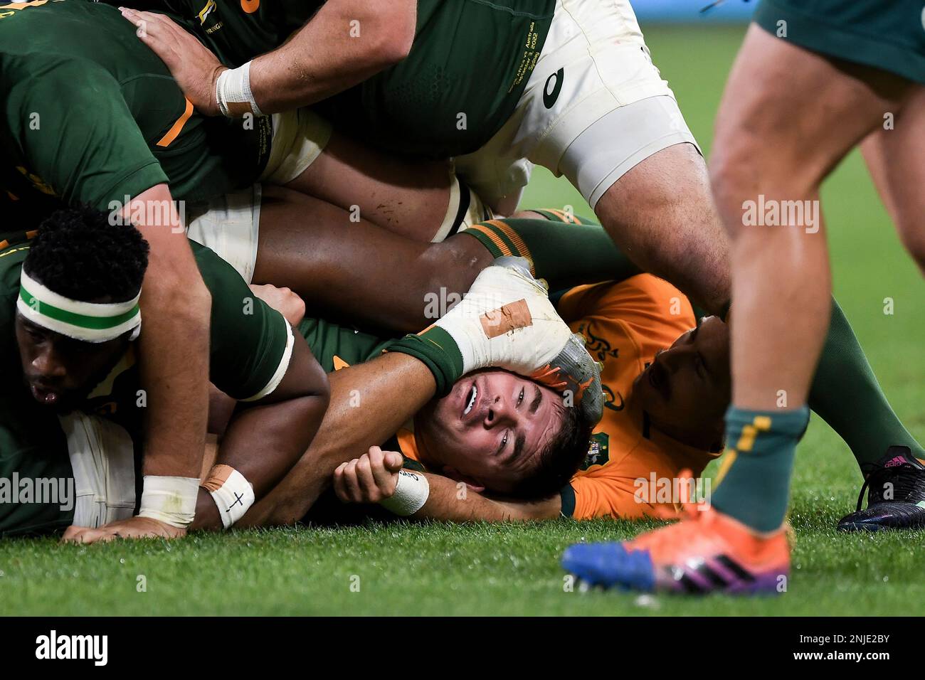 SYDNEY, AUSTRALIA - SEPTEMBER 03: Malcolm Marx of South Africa under ...