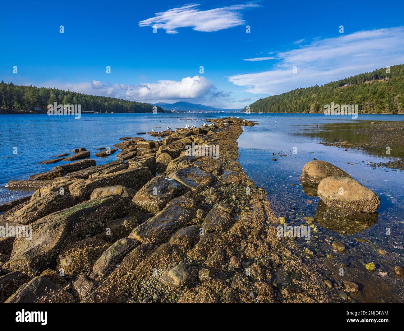 The Brickyard Beach area where the Northumberland Channel enters False