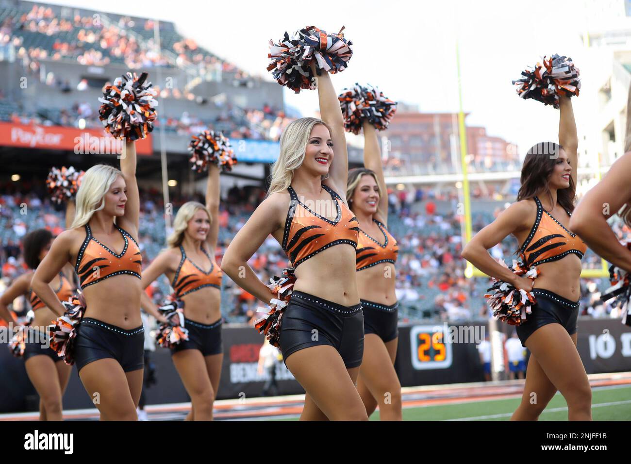 CINCINNATI, OH - AUGUST 27: Cincinnati Bengals cheerleaders perform during  the game against the Los Angeles Rams and the Cincinnati Bengals on August  27, 2022, at Paycor Stadium in Cincinnati, OH. (Photo