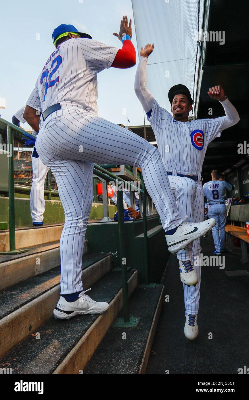 Chicago Cubs' Franmil Reyes high-fives teammates on the field after a  baseball game against the Cincinnati Reds in Cincinnati, Wednesday, Oct. 5,  2022. The Cubs won 15-2. (AP Photo/Aaron Doster Stock Photo 