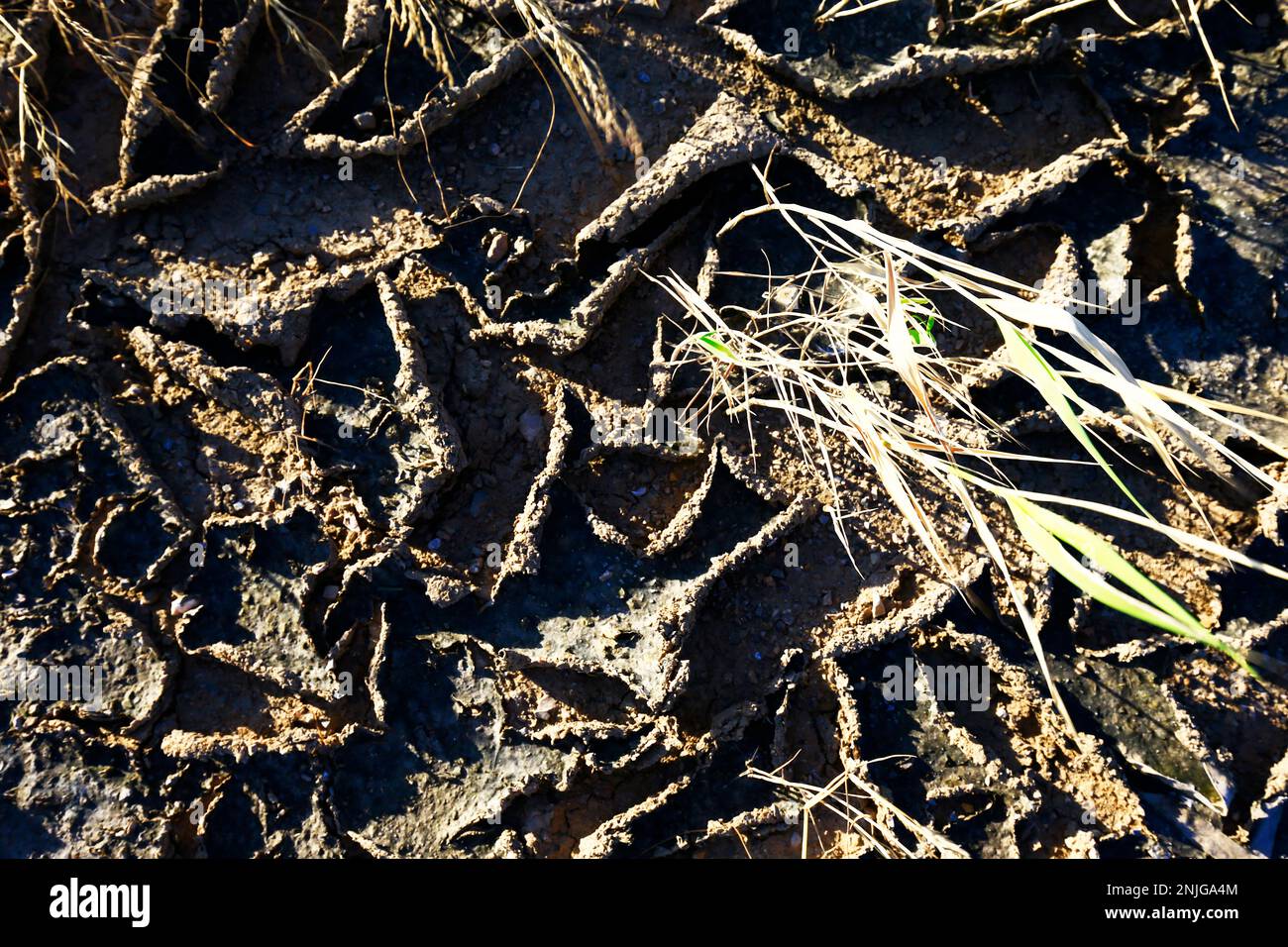 Climate warming dry chapped land Stock Photo - Alamy