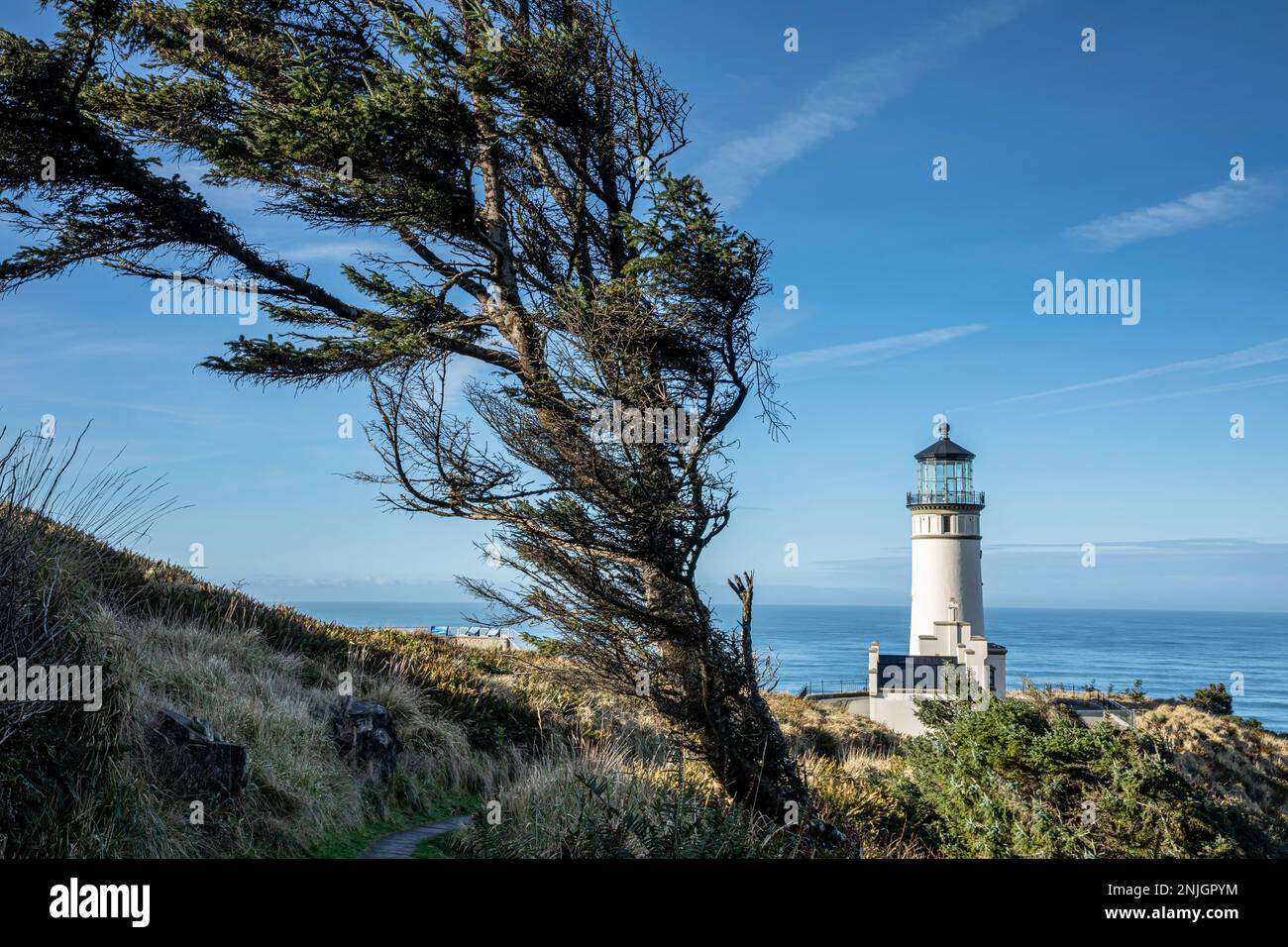 WA23020-00...WASHINGTON - Wind scultputered tree and the North Point Lighthouse overlooking the Pacific Ocean in Cape Disappointment State Park. Stock Photo