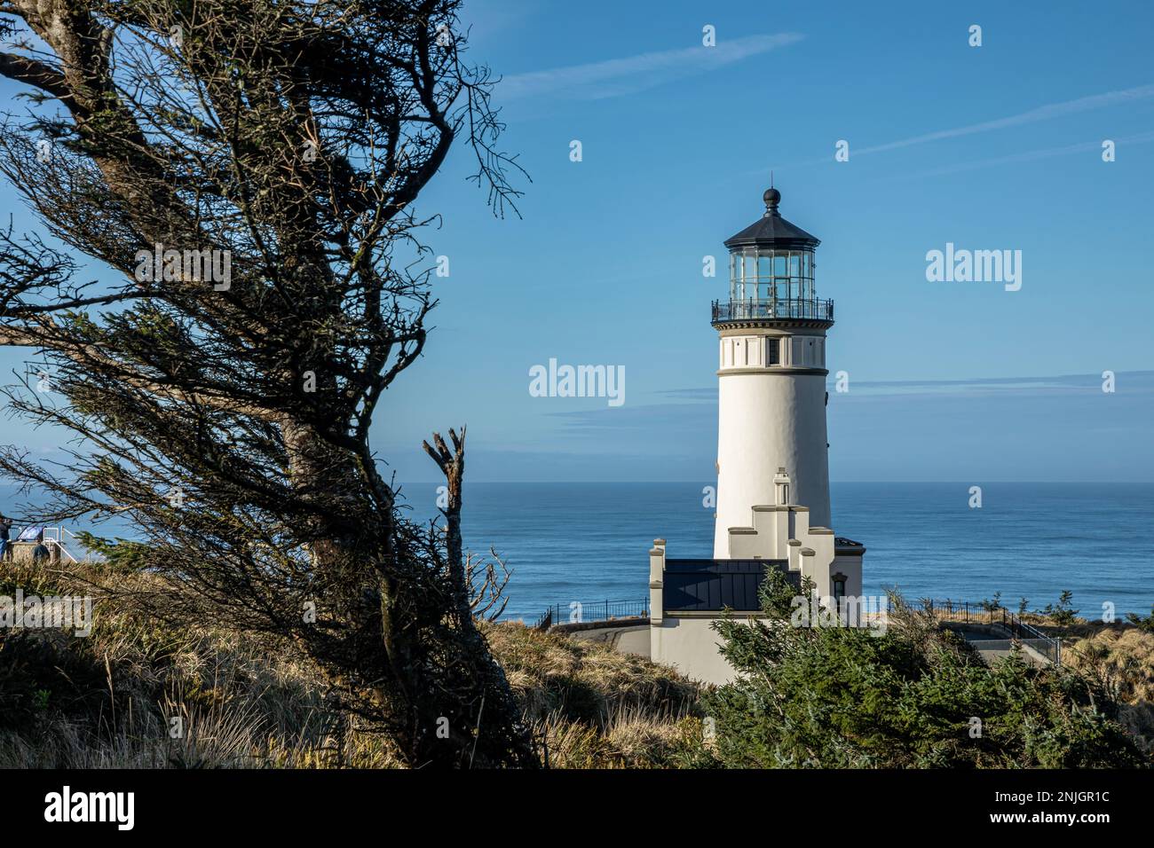 WA23022-00...WASHINGTON - Wind scultputered tree and the North Point Lighthouse overlooking the Pacific Ocean in Cape Disappointment State Park. Stock Photo