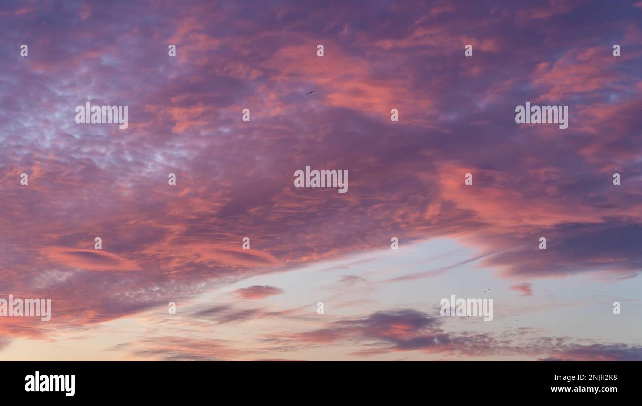 Sunset sky. Cirrocumulus and cirrostratus clouds during sunset. Beautiful dramatic sunset sky background. Selective focus included. Noisy photo Stock Photo
