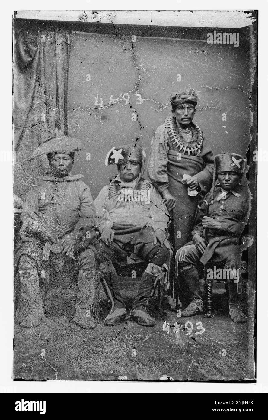 Sac & Fox Stock Photo Alamy