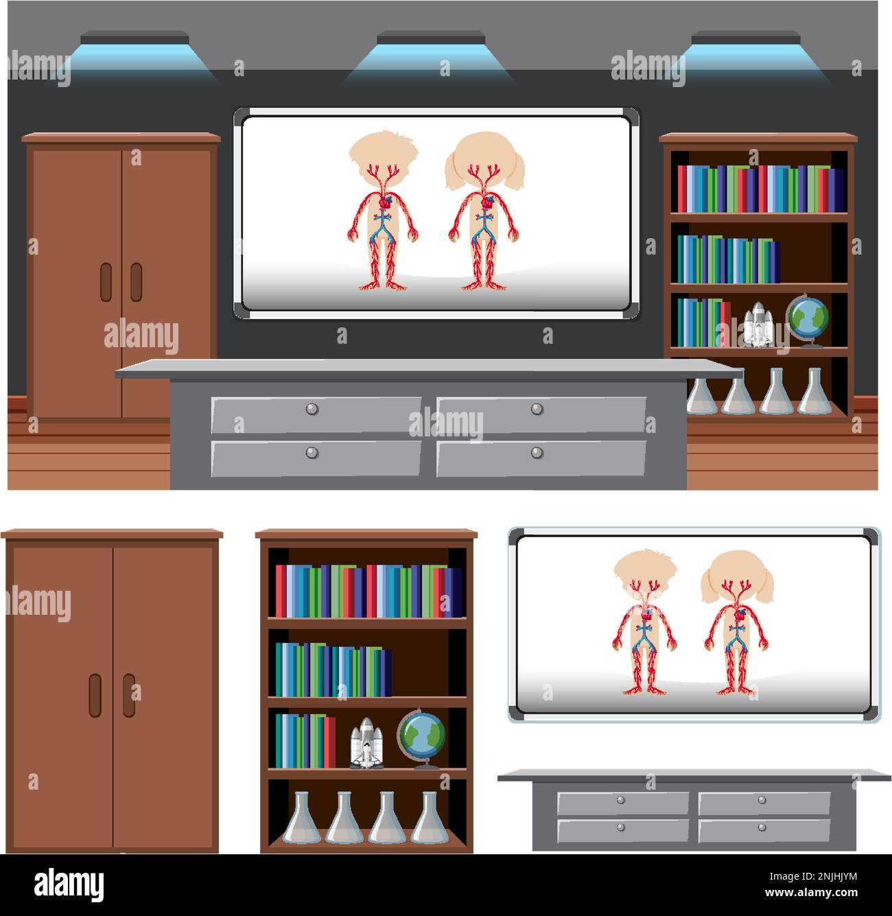 Set of anatomy element in the classroom background illustration Stock