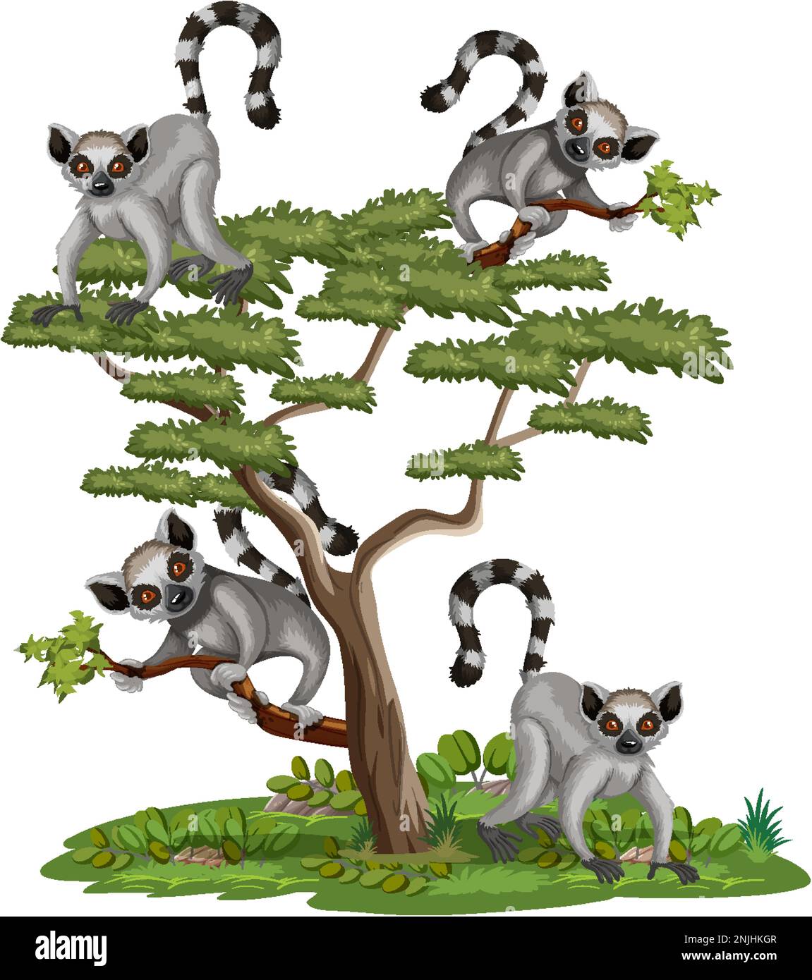 Lemurs on a tree on white background illustration Stock Vector