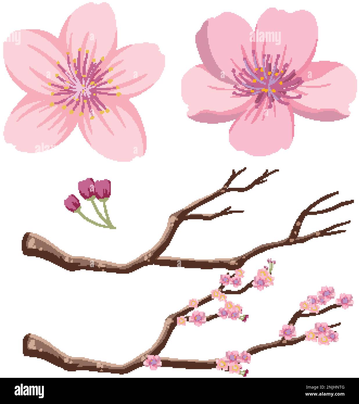 Japanese Cherry Blossom Vector Graphic illustration Stock Vector Image & Art Alamy