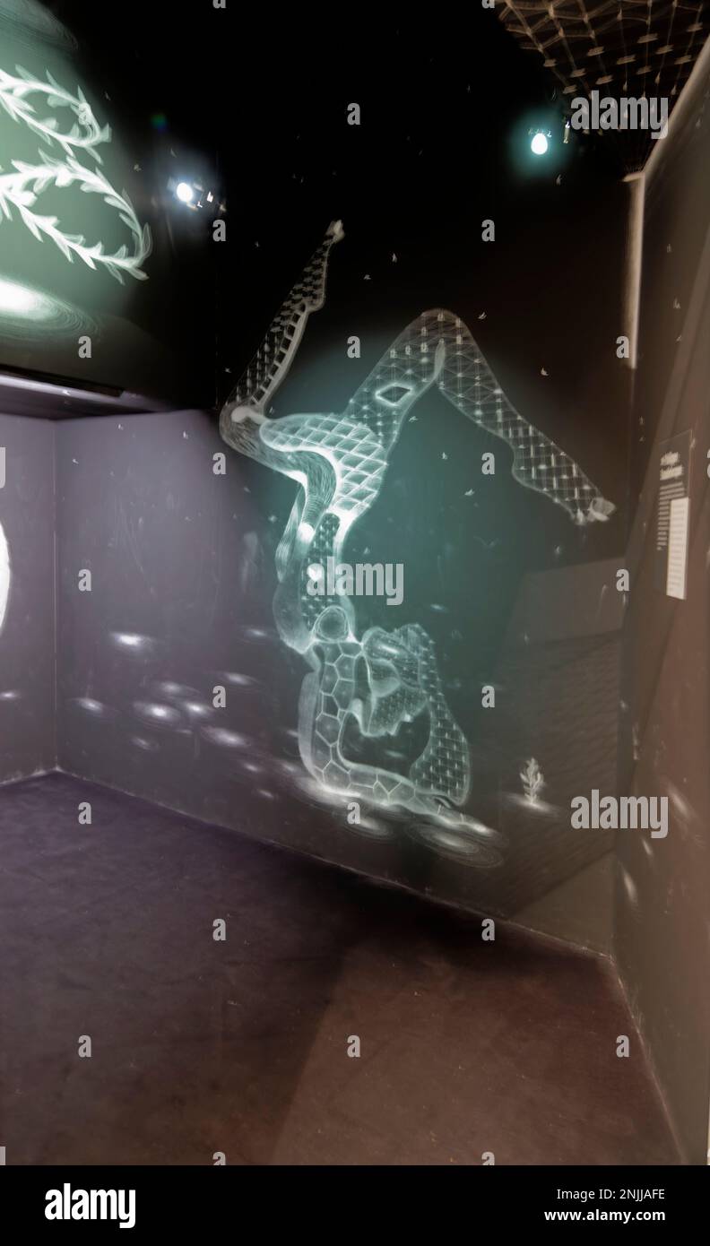 Paris, France. in France. 03th Jan, 2023. Exhibition - CAPITALE(S) - 60