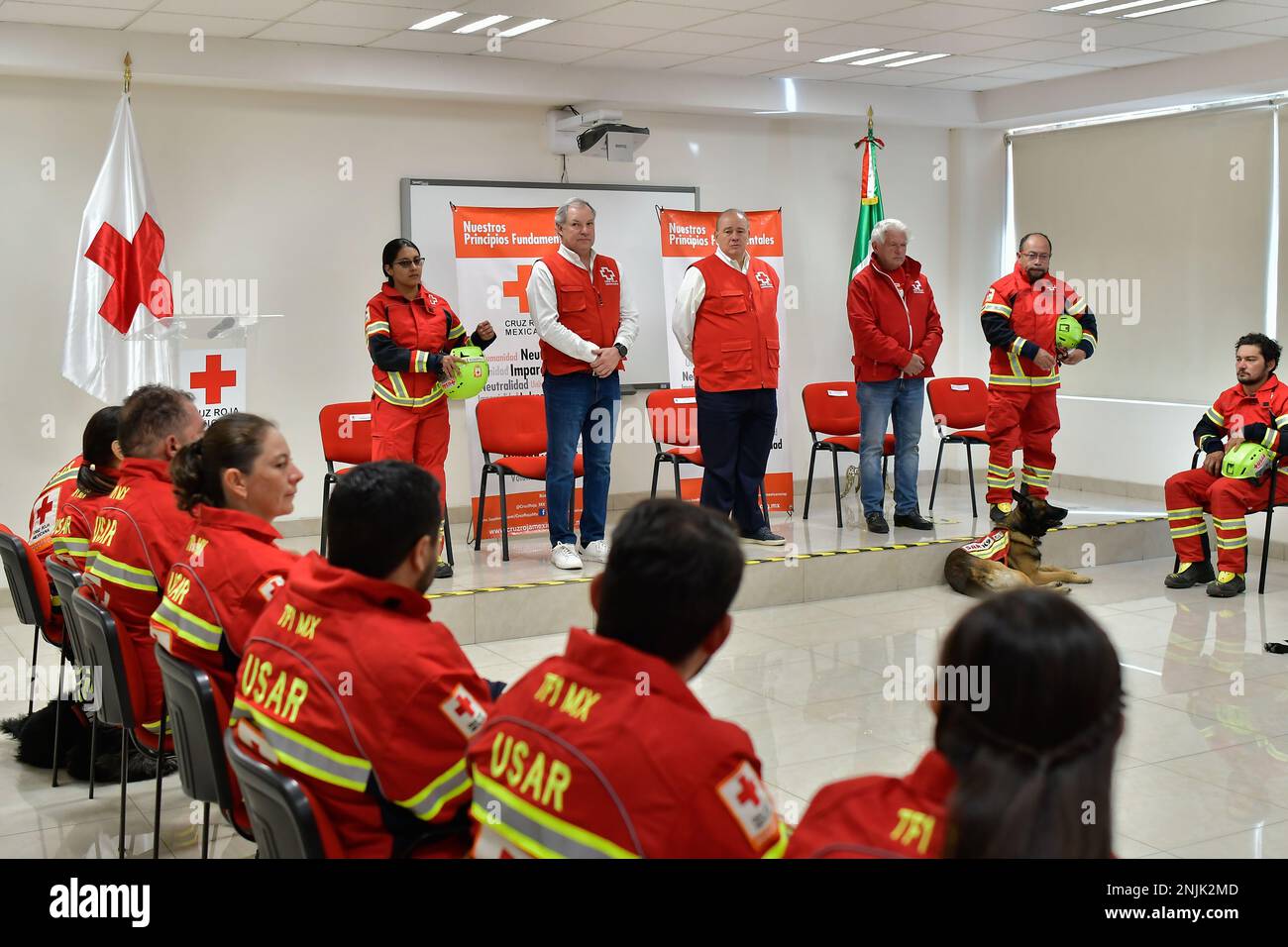 Group red cross paramedics hi-res stock photography and images - Alamy