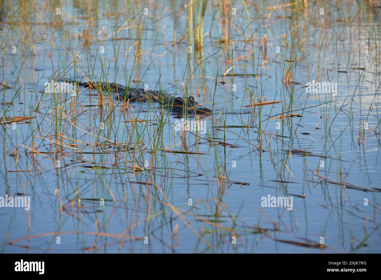 Rotary beach park hires stock photography and images Alamy