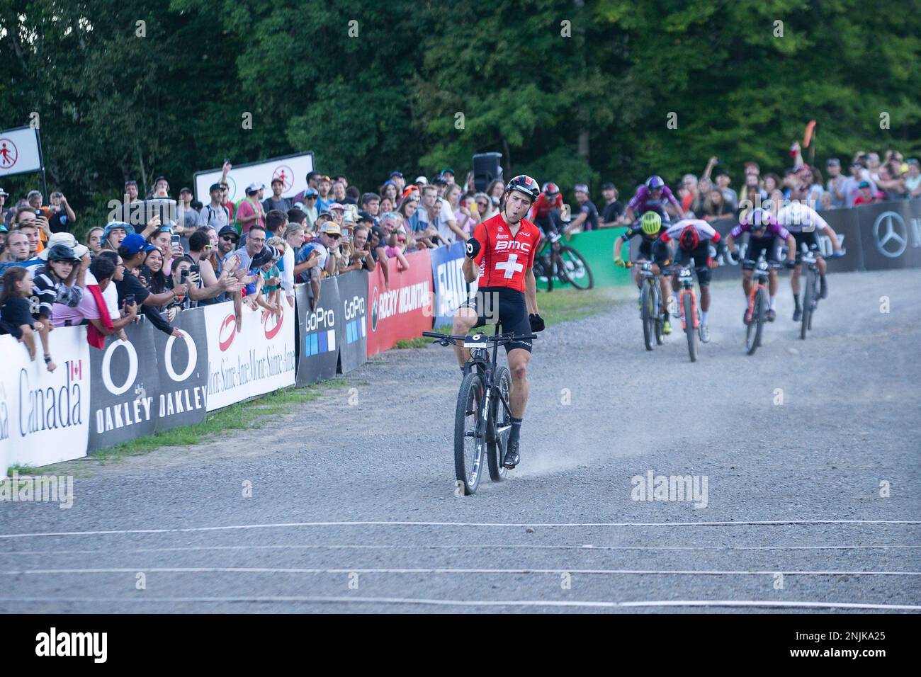 Men's cross country 2025 bike