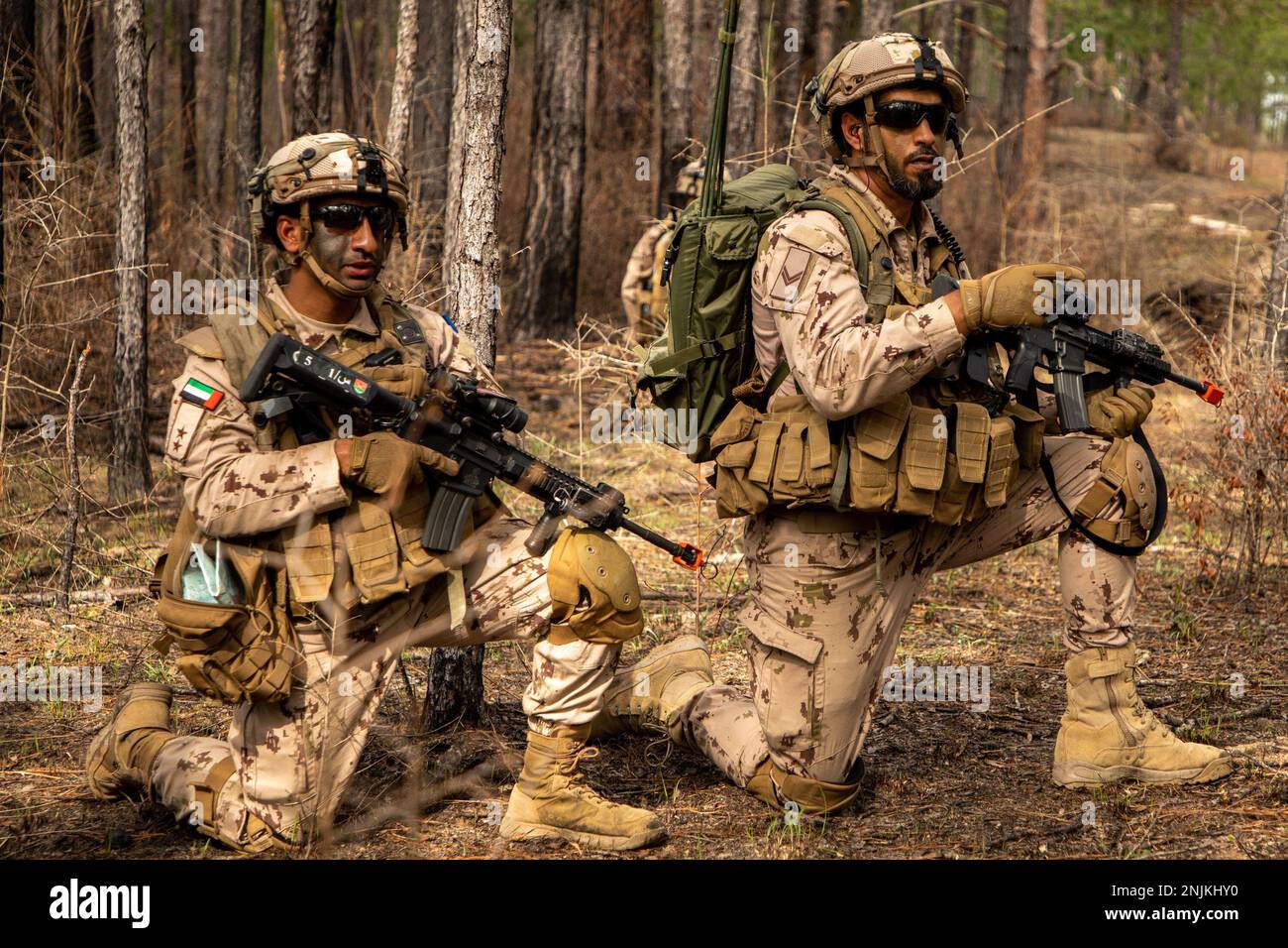 Uae Armed Forces Training