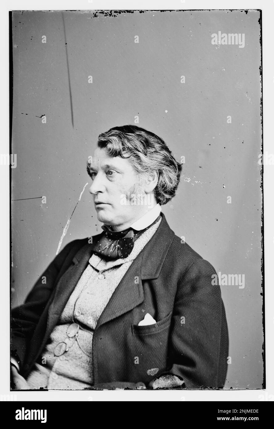 Photograph of Honorable Charles Sumner, a prominent Massachusetts ...