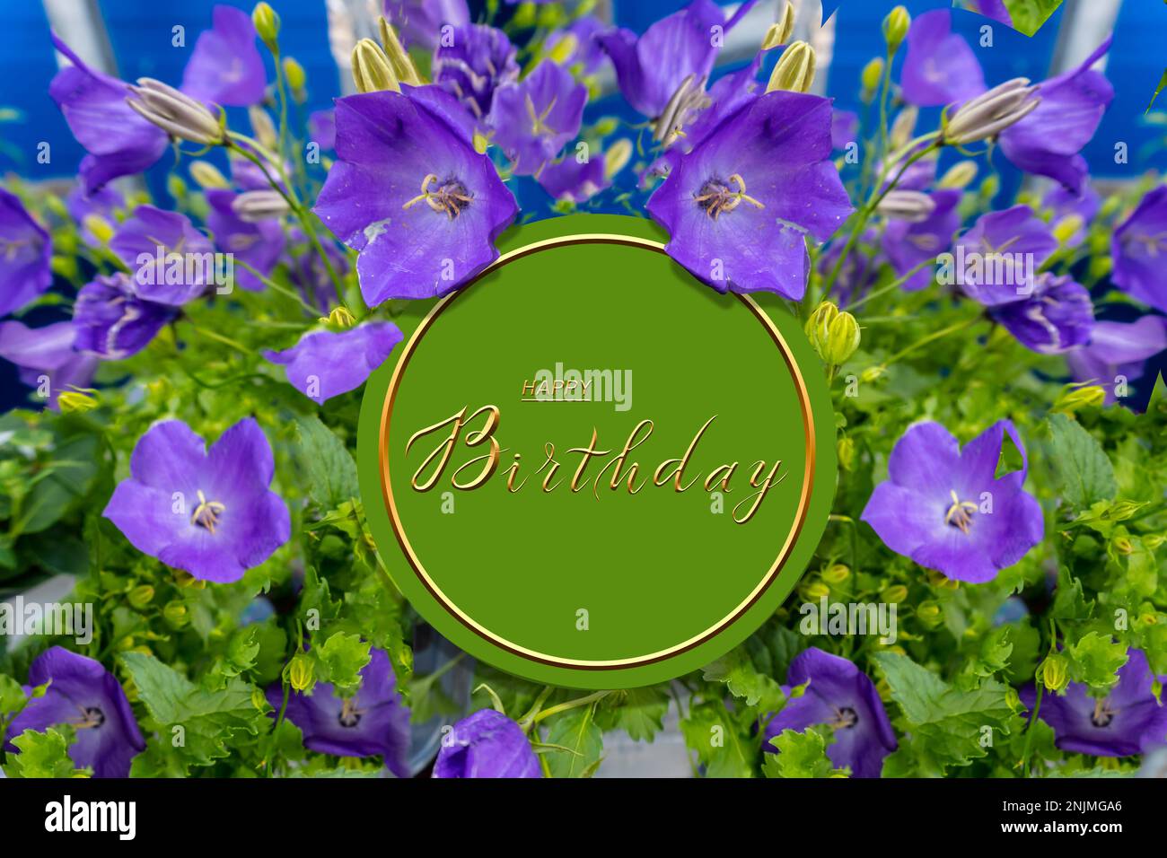 postcard , Internet banner , flat lay with a birthday greeting, with the inscription - happy birthday, Stock Photo