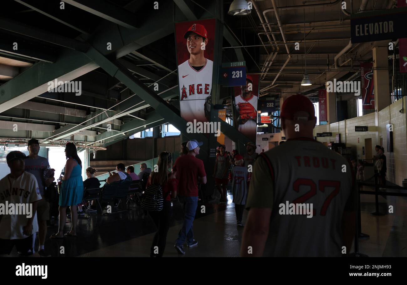 Pick up from Angel Stadium. 😍😍 Came wanting Shohei Ohtani, but