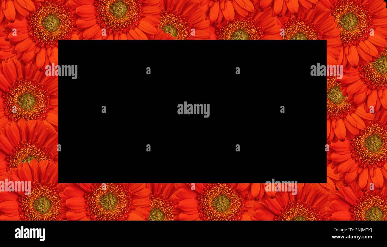 Postcard or invitation to a funeral, death. With flowers on a black