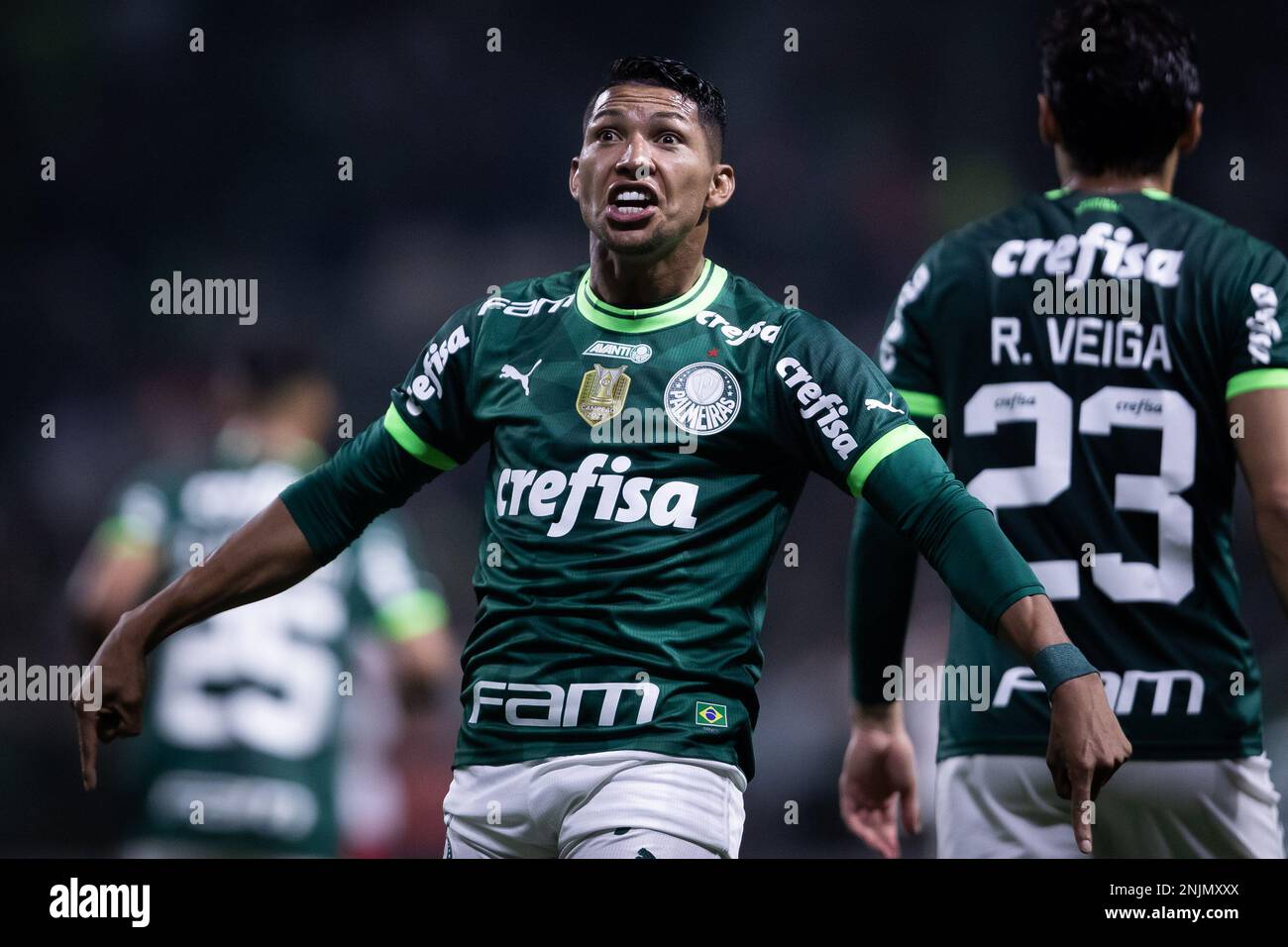 Rony palmeiras hi-res stock photography and images - Page 5 - Alamy