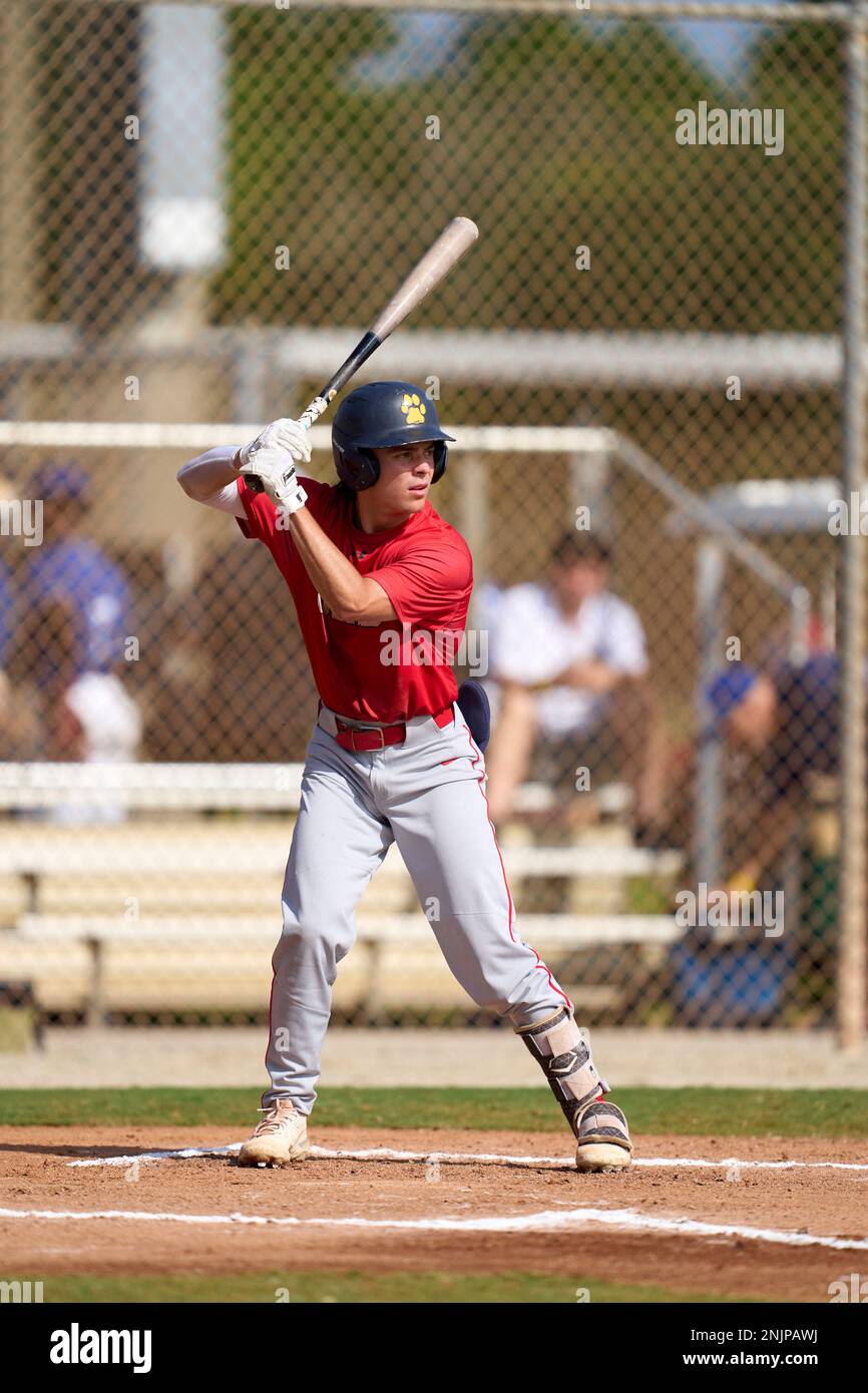 Billy Adams during the WWBA World Championship at Roger Dean Stadium