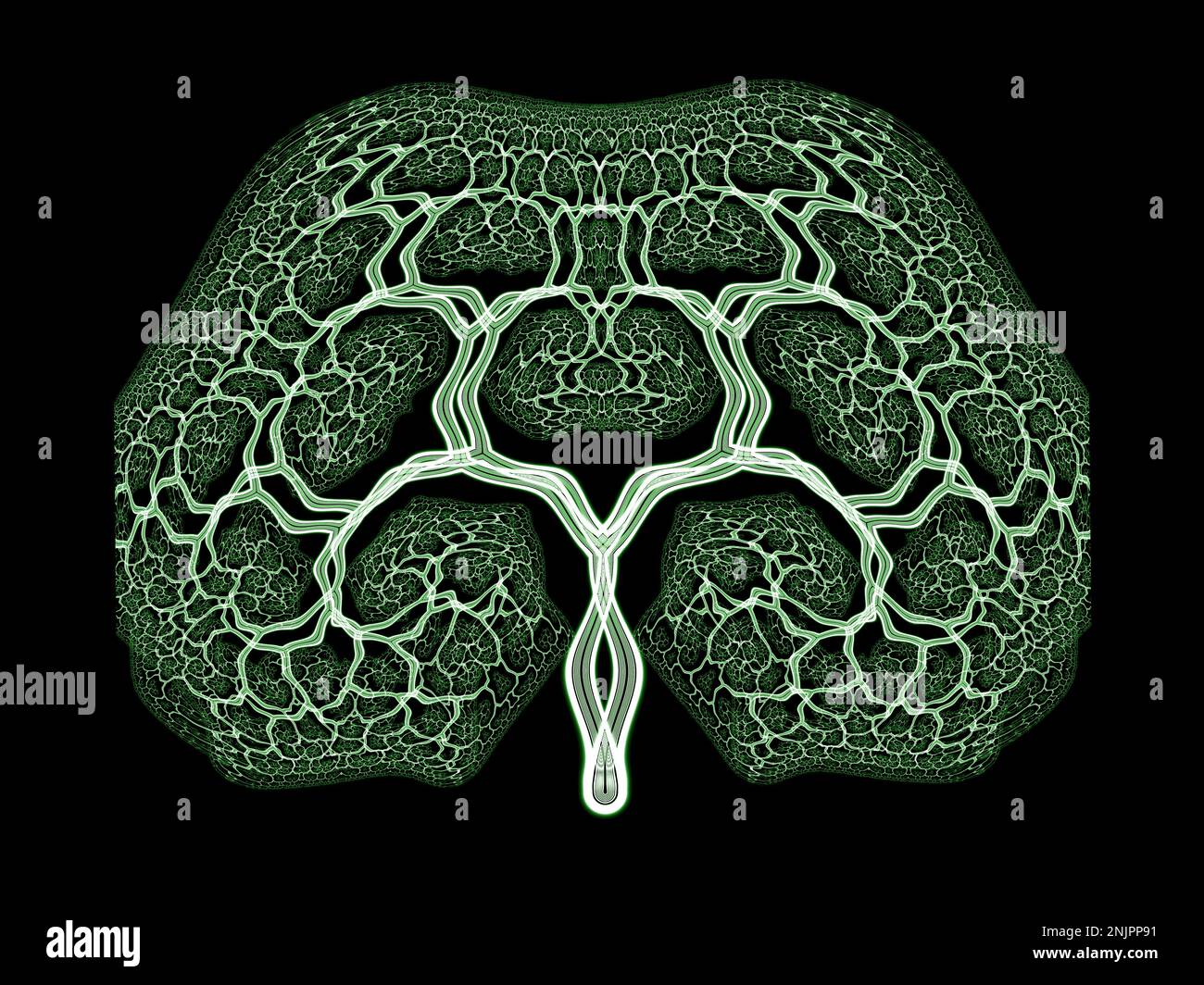 Abstract Fractal Tree Art Stock Photo