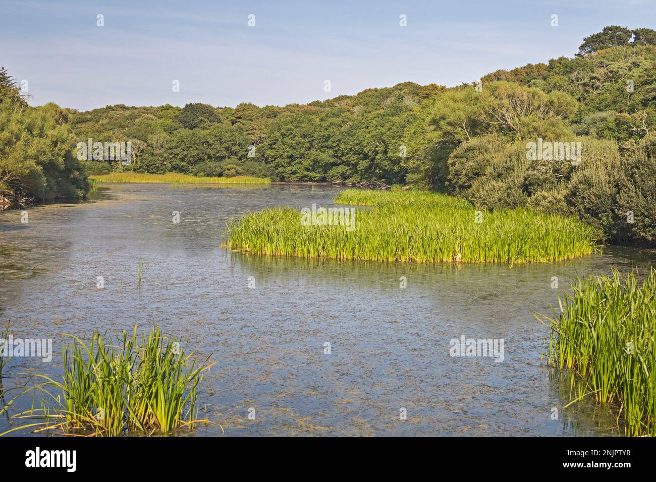 South pembrokeshire countryside hi-res stock photography and images - Alamy