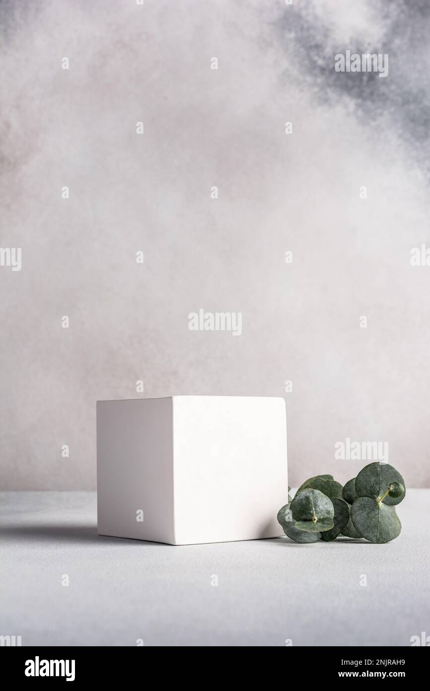 Minimal modern product display with white cube and eucalyptus branch ...