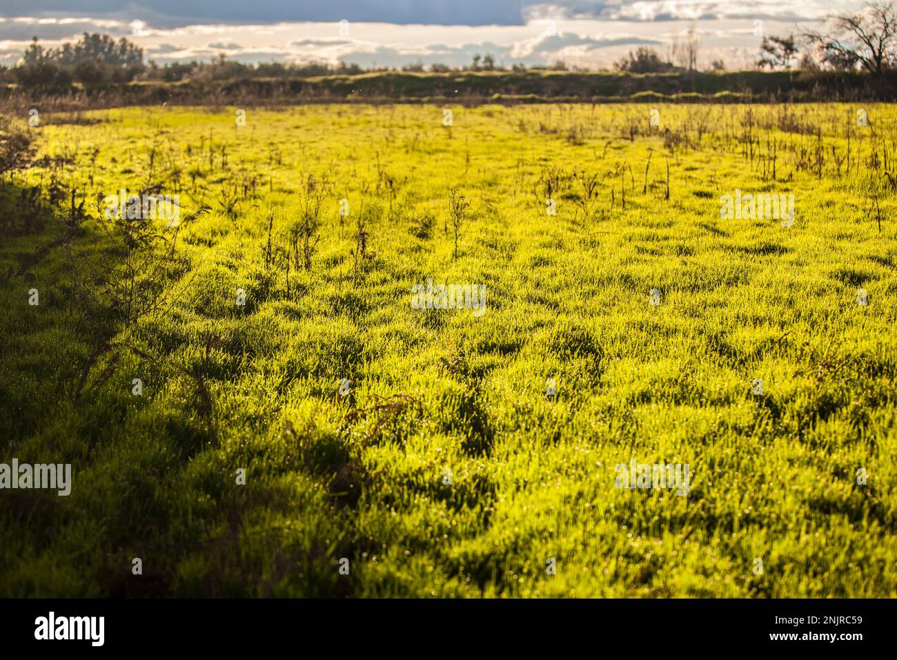 Fallow field crop rotation hires stock photography and images Alamy