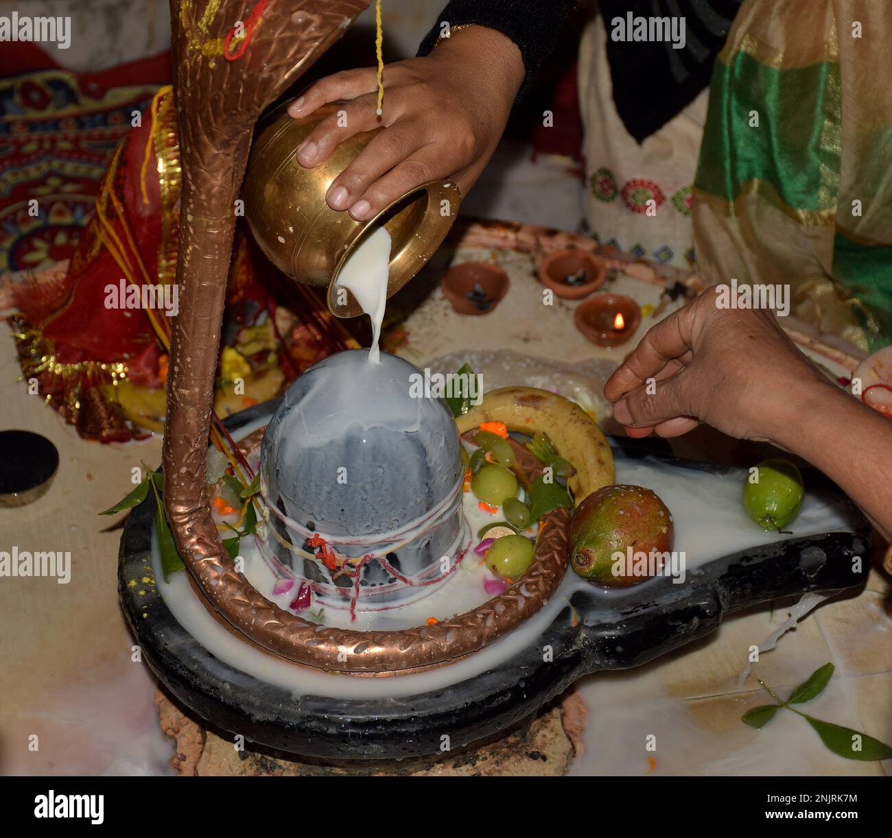 hand of a devotee offering milk to shivling or lord shiva on the occasion of maha shivratri festival celebration in india 2NJRK7M