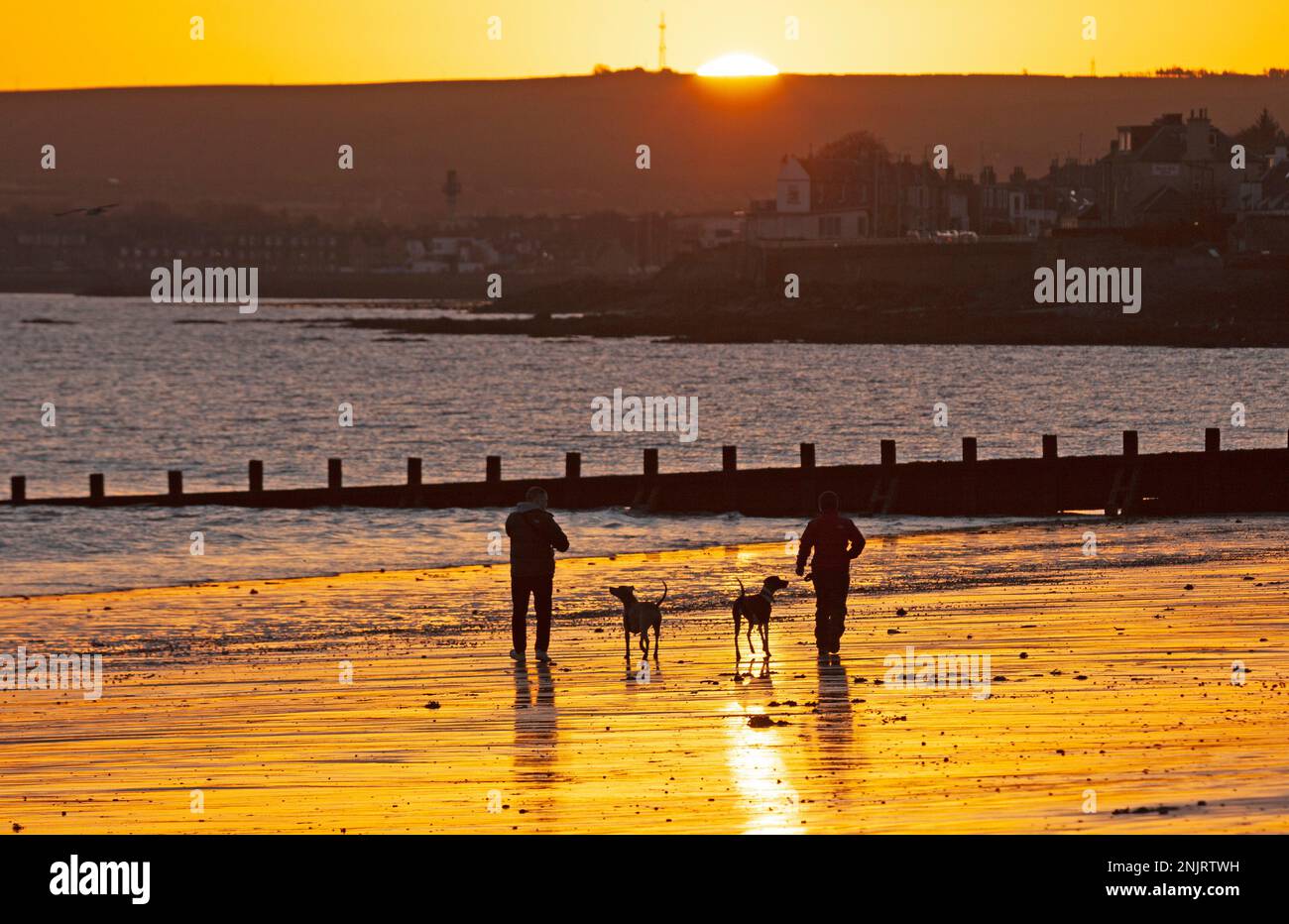 Portobello, Edinburgh, Scotland, UK. 23rd February 2023. Dawn snaps for these two dog walkers at the seaside by the Firth of Forth, taking pictures of their two canine companions. Nippy temperature of minus 2 degrees centigrade. Credit: Archwhite/alamy live news. Stock Photo