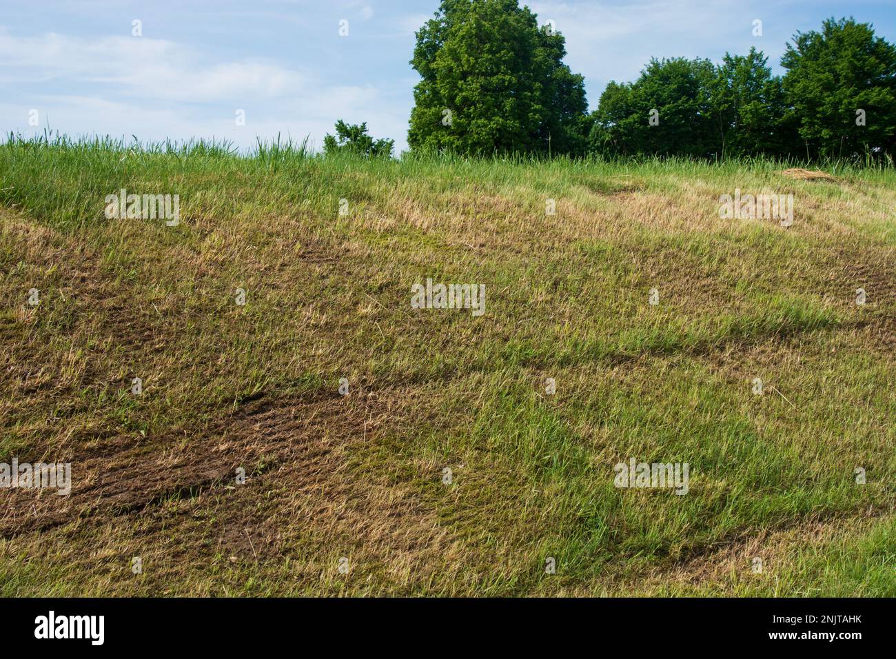 mown rolling hill with dry grass spots due to a long drought Stock