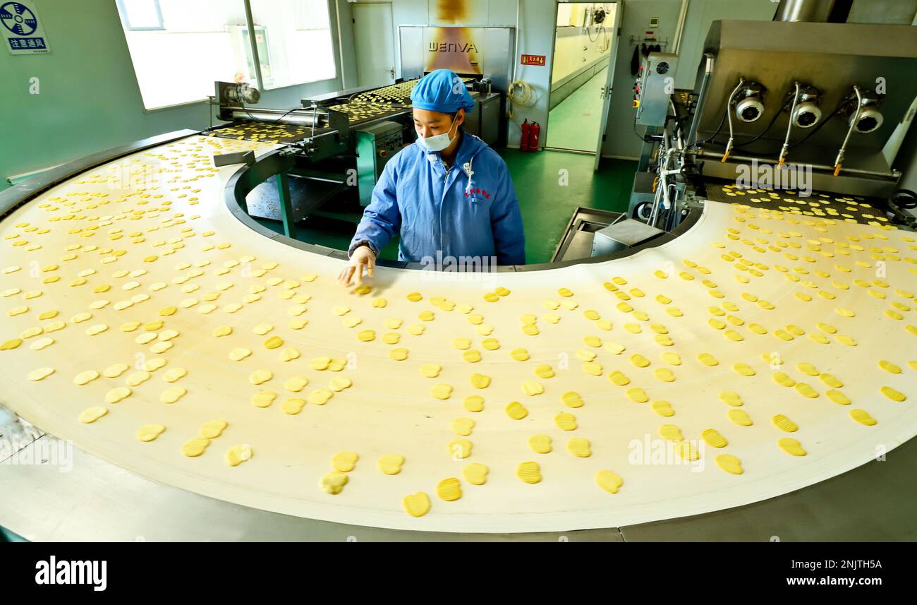 ZHANGYE, CHINA FEBRUARY 22, 2023 Workers control various equipment to produce potato chips