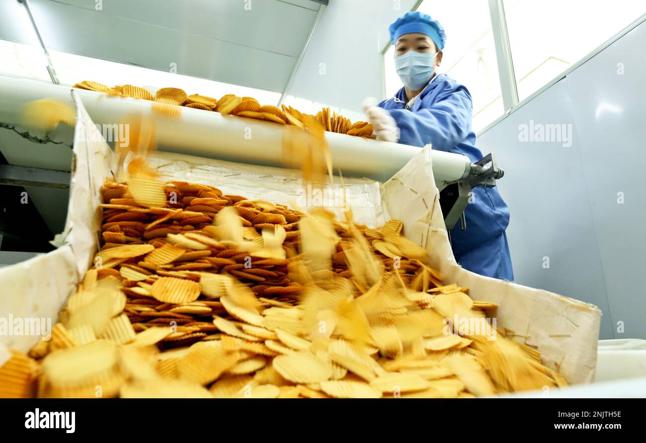 ZHANGYE, CHINA FEBRUARY 22, 2023 Workers control various equipment to produce potato chips