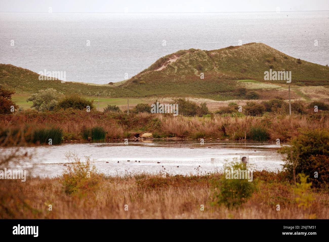 Embleton Quarry Nature Reserve, Northumberland Stock Photo - Alamy