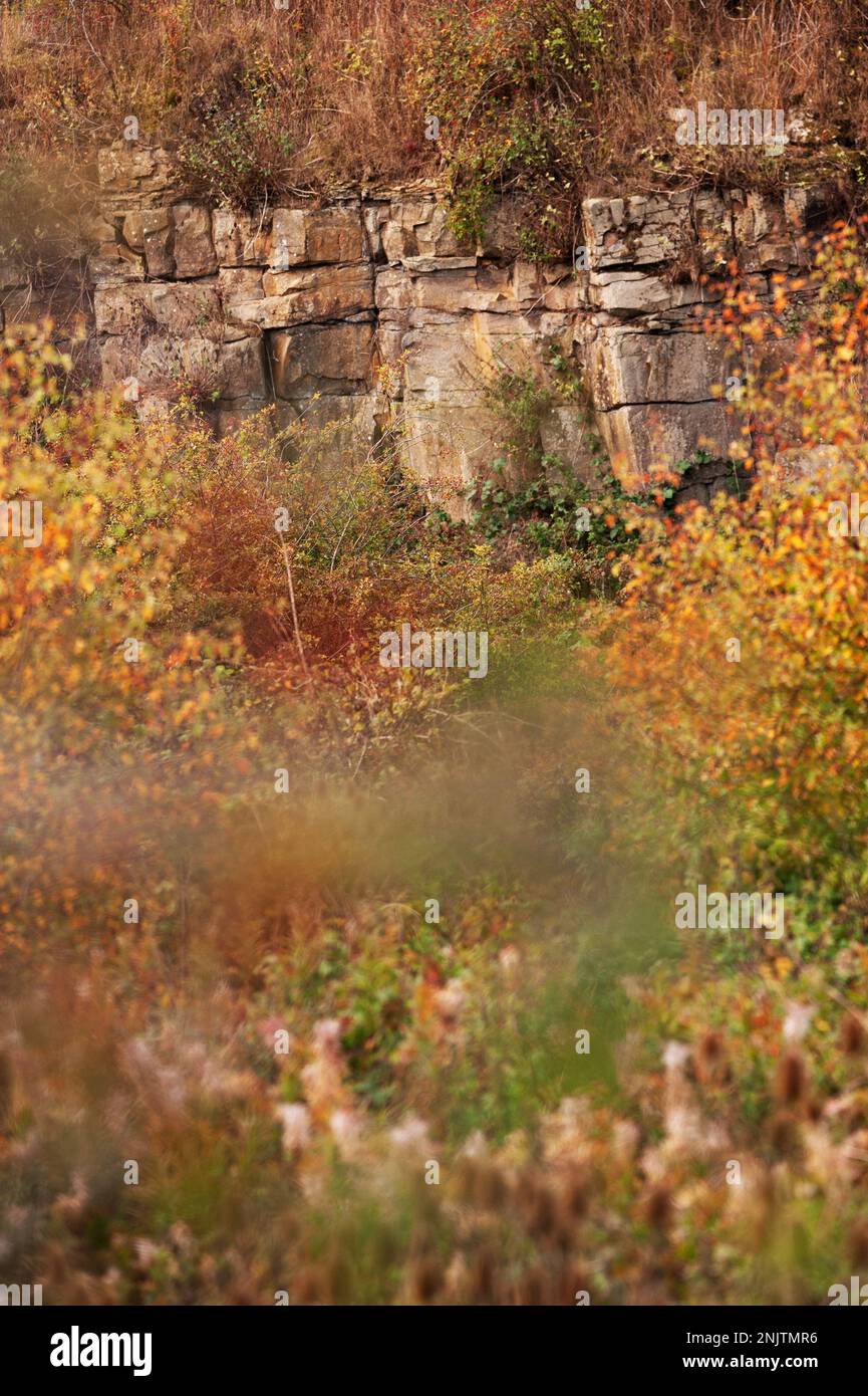 Embleton quarry nature reserve hi-res stock photography and images - Alamy