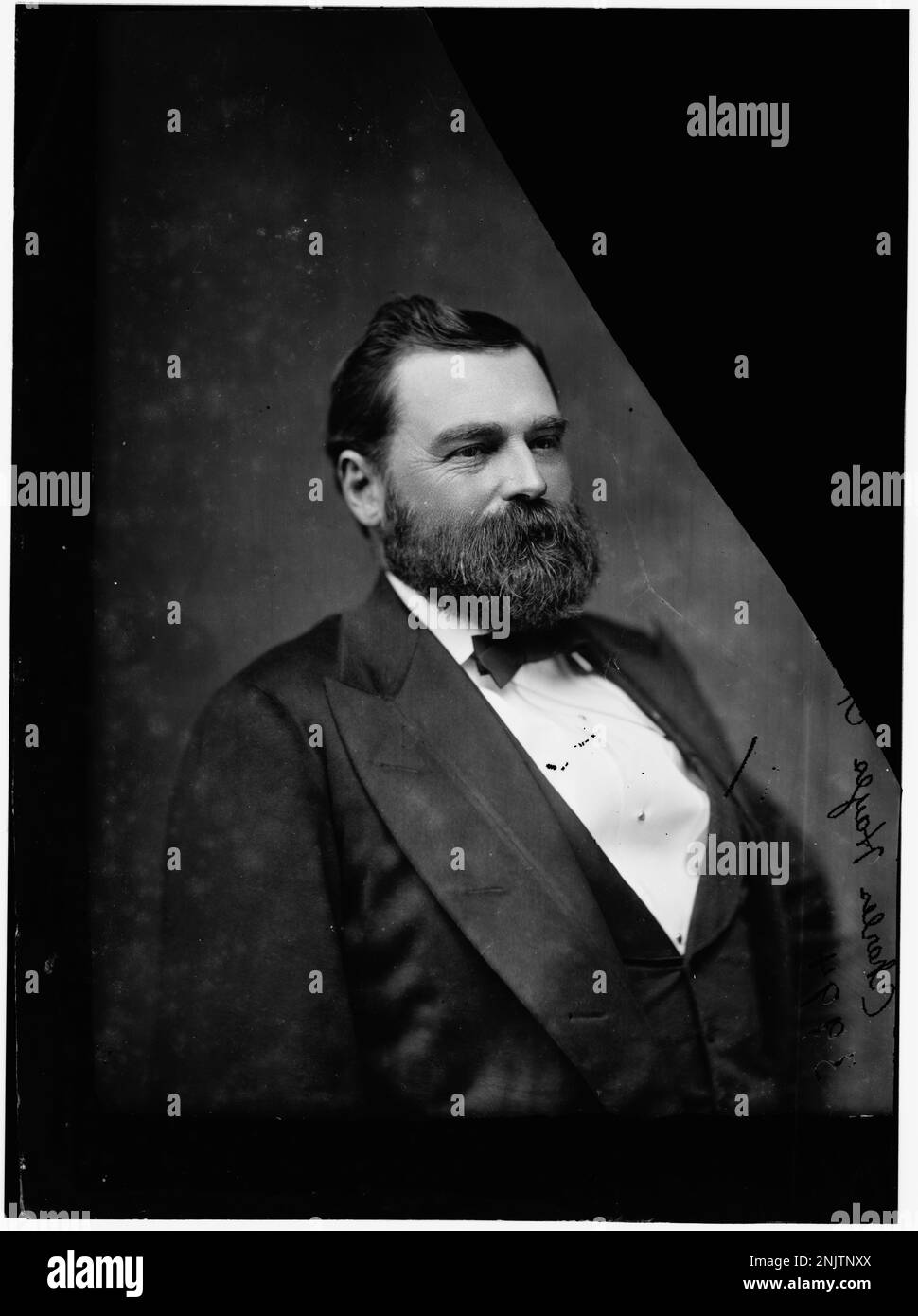 Portrait of Honorable Charles Hayes, a political figure from Alabama, recognized for his service as a U.S. Representative in the late 19th century. Stock Photo