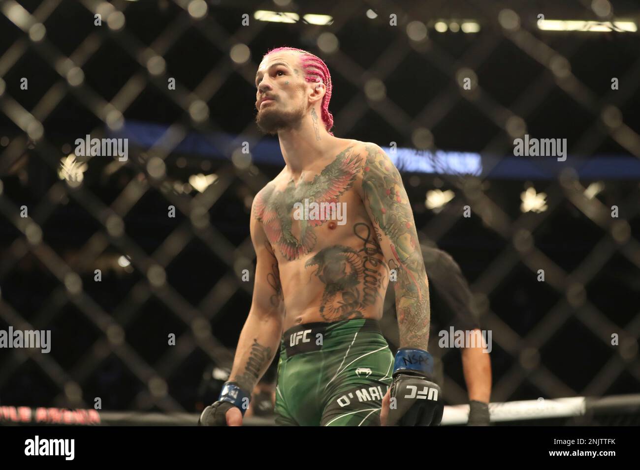 LAS VEGAS, NV - JULY 2: Sean O'Malley prepares to fight Pedro Munhoz in their Bantamweight bout during UFC 276 on July 02, 2022, at T-Mobile Arena in Las Vegas, Nevada. (Photo by Alejandro Salazar/PxImages/Icon Sportswire) (Icon Sportswire via AP Images) Stock Photo