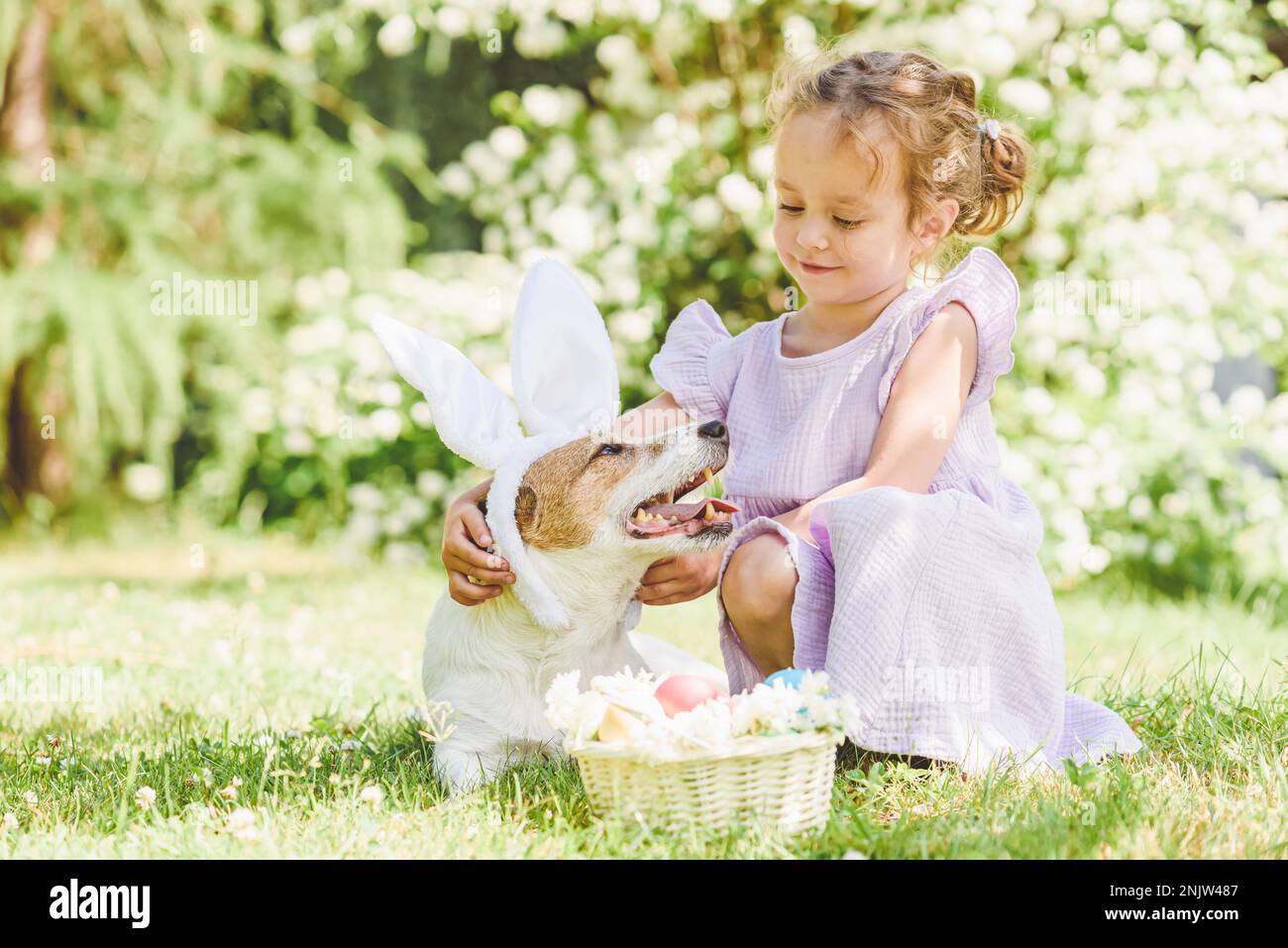 Cute little girl hugging her pet dog wearing Easter bunny ears costume. Basket with decorated eggs and flowers. Stock Photo