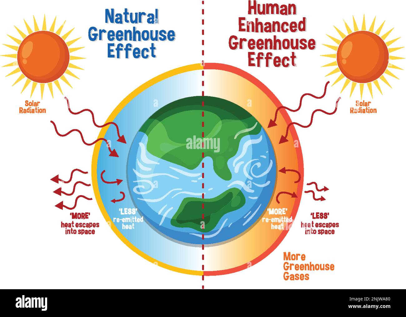 Diagram showing the greenhouse effect illustration Stock Vector Image