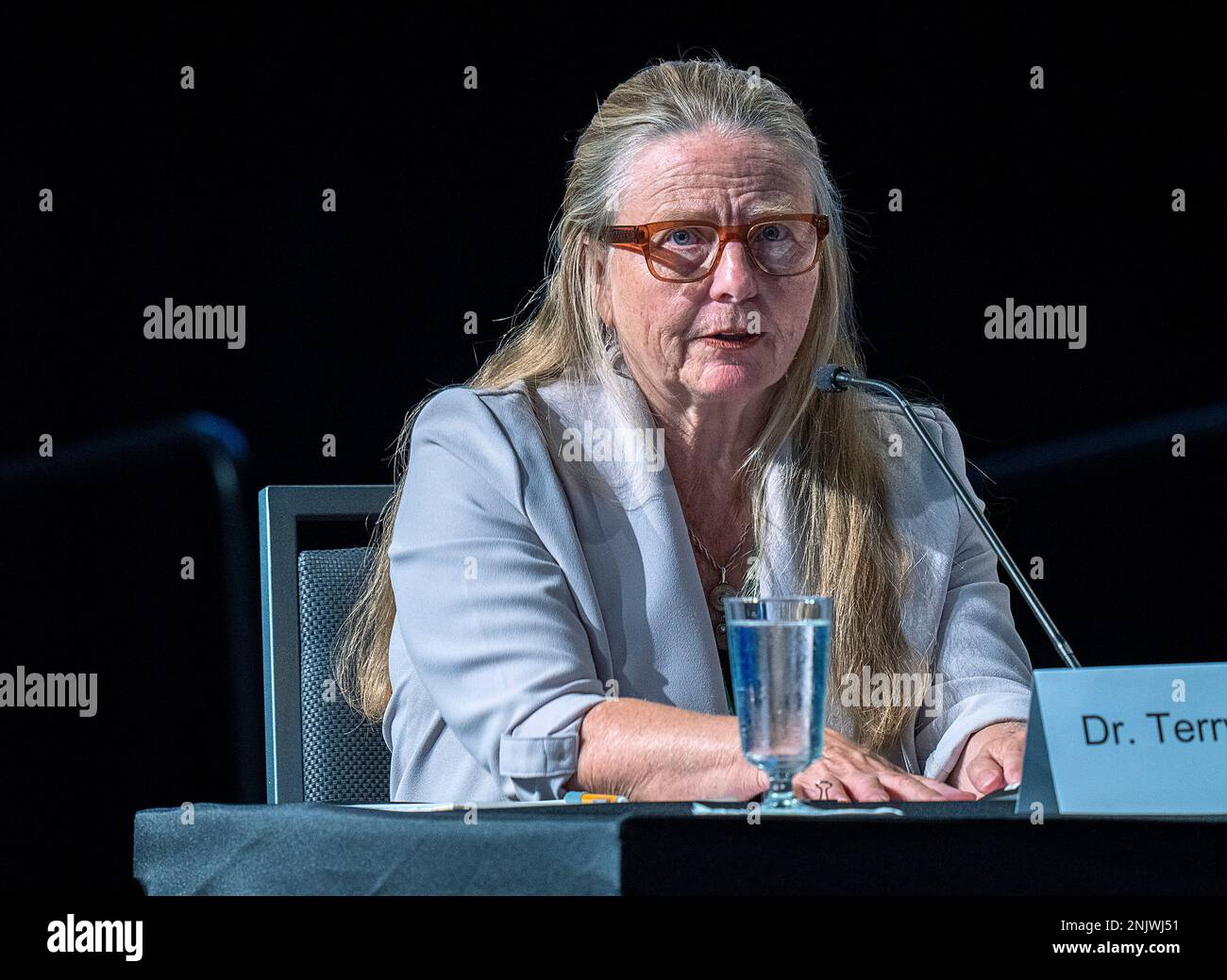 Terry Mitchell, a clinical and community psychologist from Prince