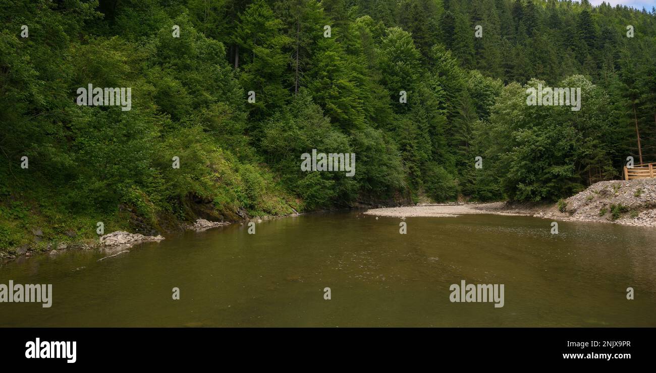 nature landscape with shallow river. trees on the shore Stock Photo
