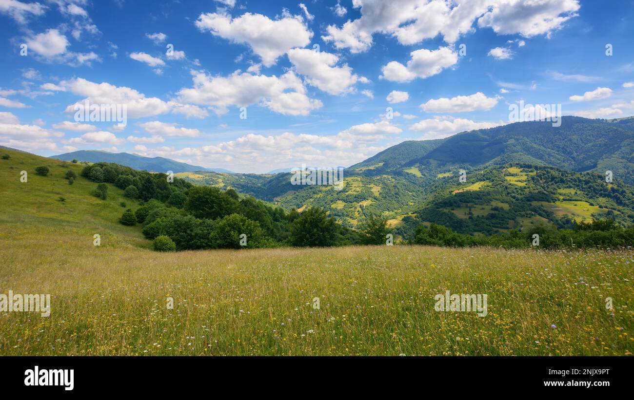 a picturesque mountainous countryside scene featuring a serene meadow and lush green pastures. the vast grassy fields stretch out under the bright sum Stock Photo