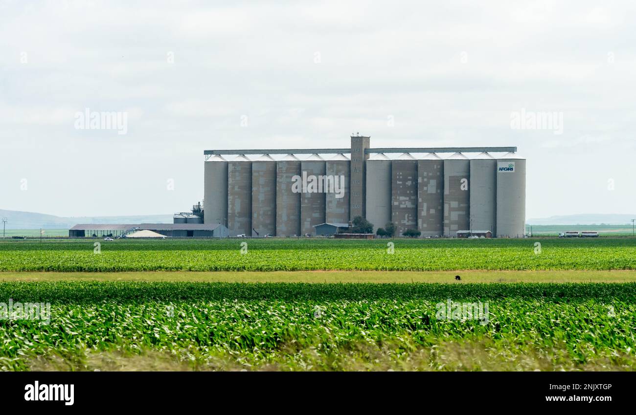 AFGRI grain silos in an agricultural region of South Africa concept