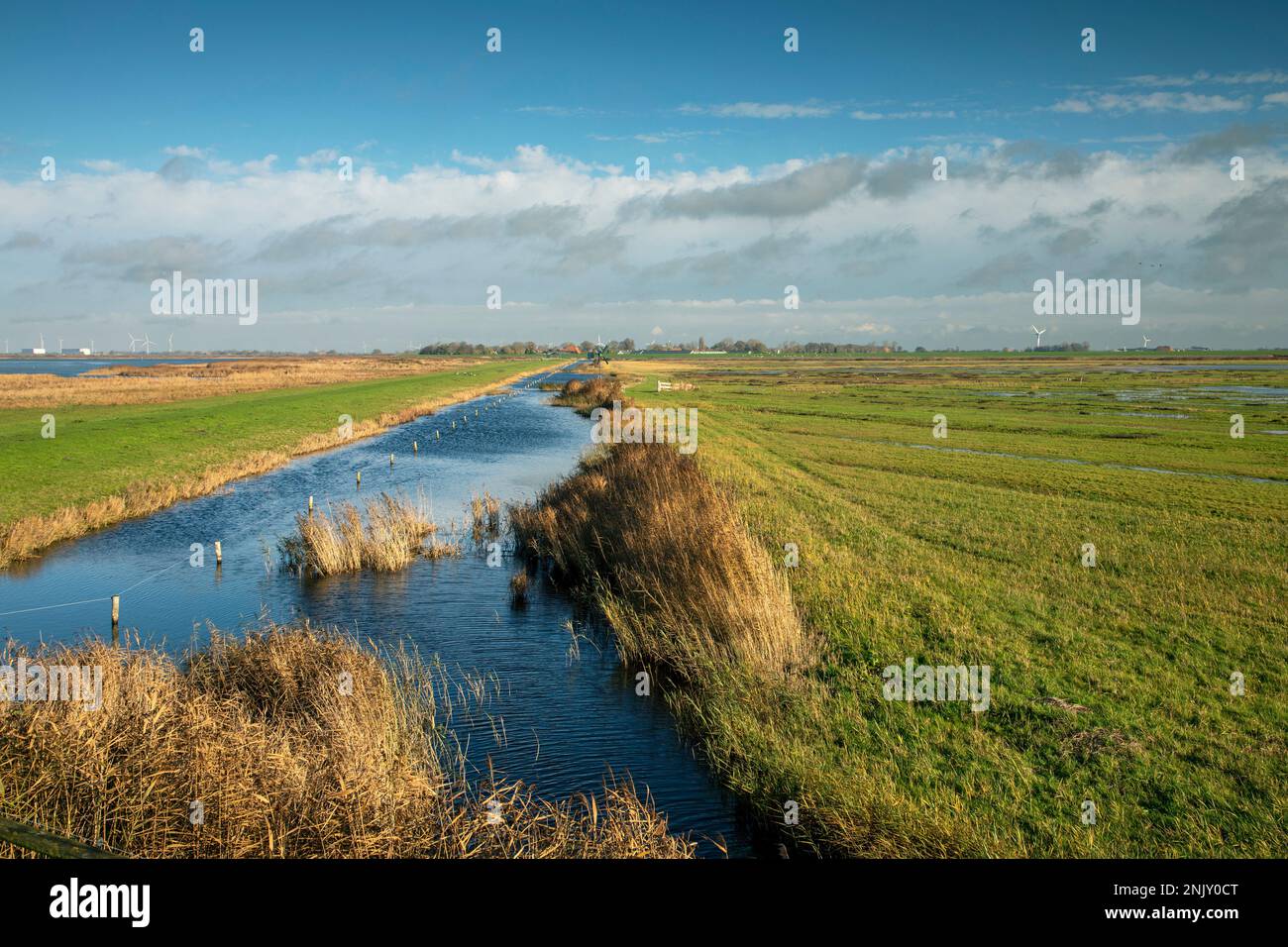 ditch and marsh meadows, Workumer Waard, view to Gaast, Netherlands, Frisia, Workum Stock Photo