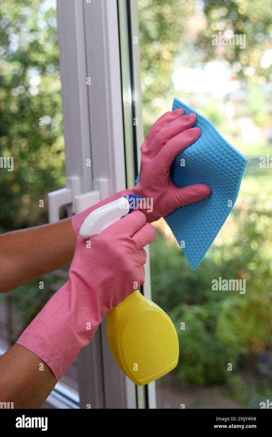 woman cleaning windows Stock Photo Alamy