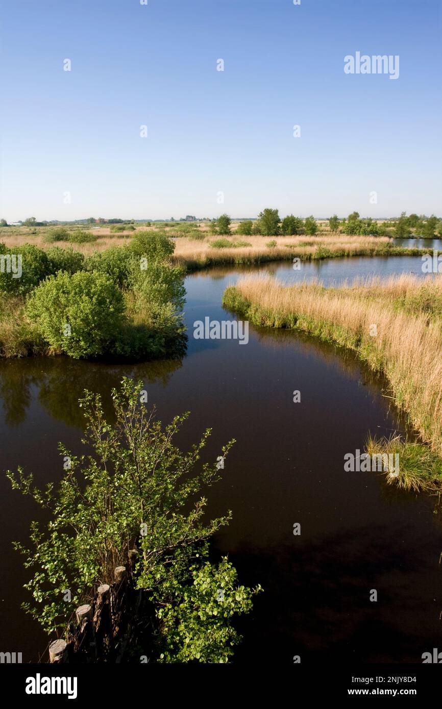 Natuurgebied Rottige Meente; Nature reserve Rottige Meente Stock Photo