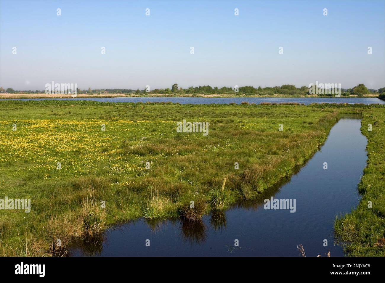 Natuurgebied Rottige Meente; Nature reserve Rottige Meente Stock Photo