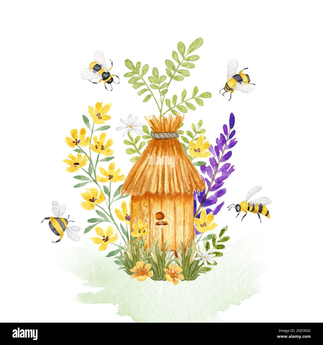 Watercolor illustration with Wooden beehive in lavender flowers. Bees, wild flowers and grass. Design for products with honey. Isolated on a white. Stock Photo
