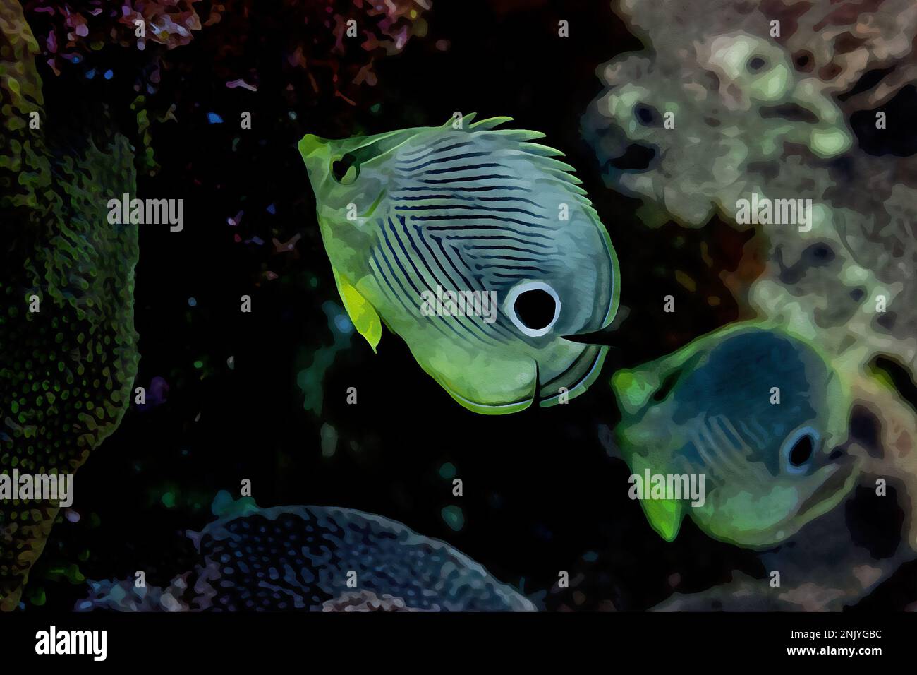 Digitally created watercolor painting of a pair of wild Butterfly Fish swimming over a coral reef Stock Photo