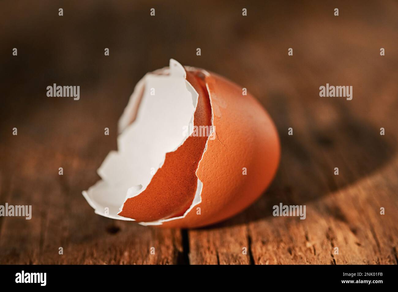 Abstract Egg Shell Cracked In Two Parts on Wooden Table Stock Photo