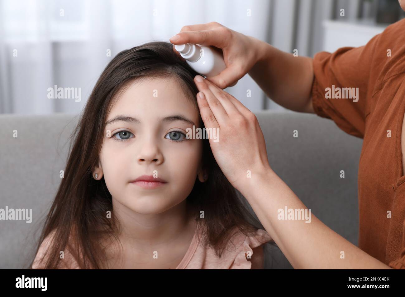 Mother using lice treatment spray on her daughter's hair indoors Stock